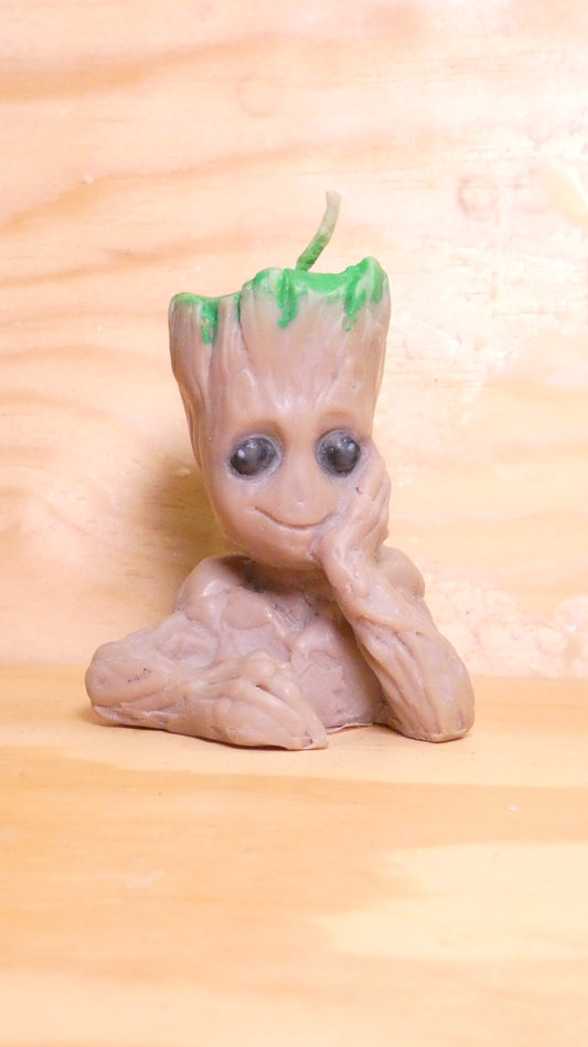 Espelma Groot de soja