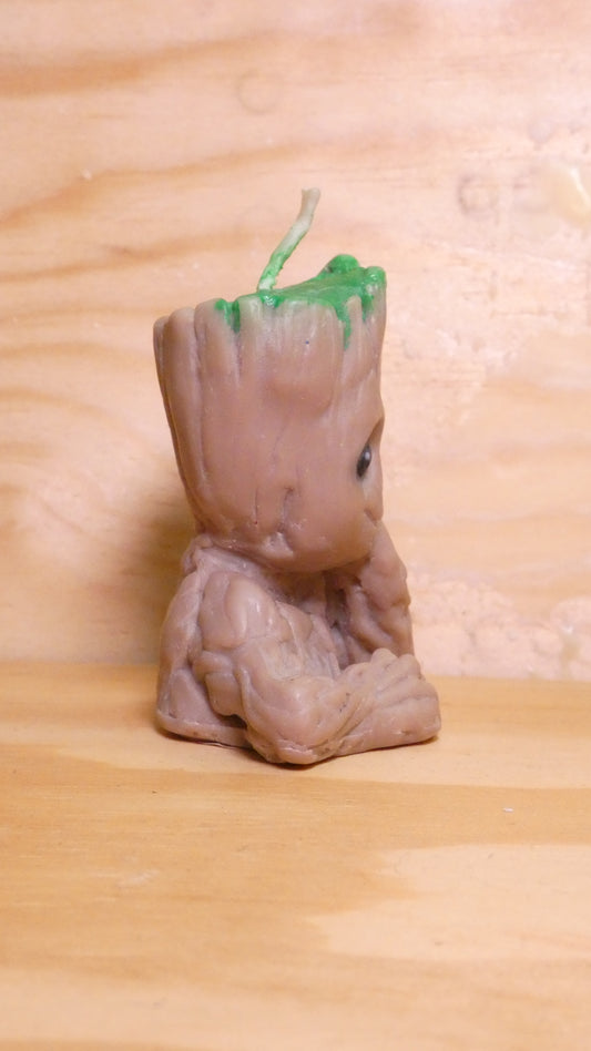 Espelma Groot de soja
